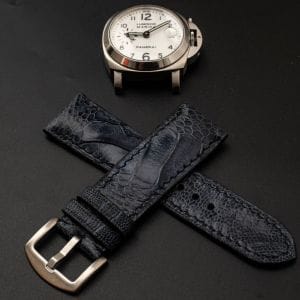 Midnight Navy