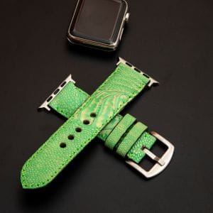 Gecko Glow